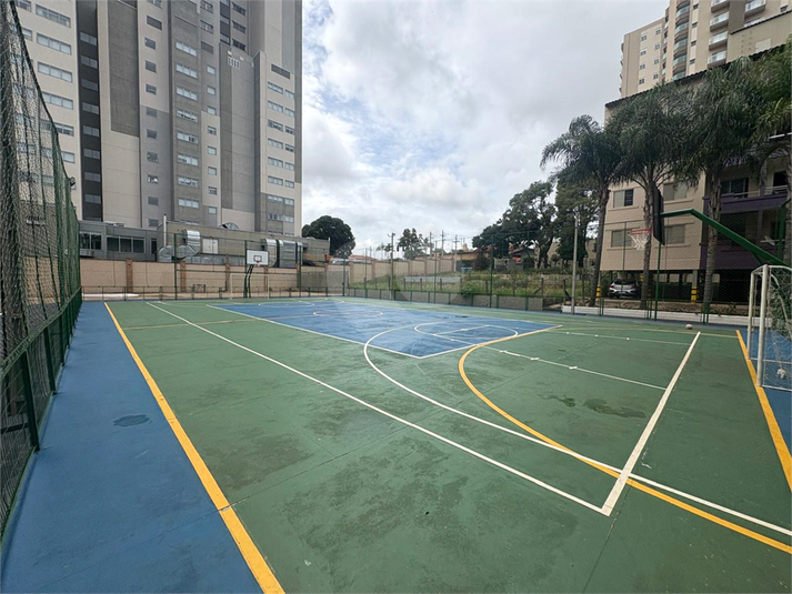Foto REO1086993