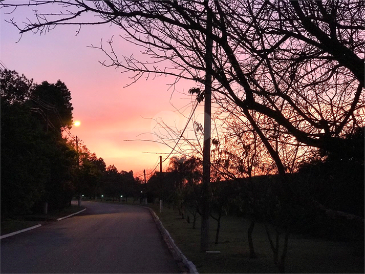 Foto REO1086997