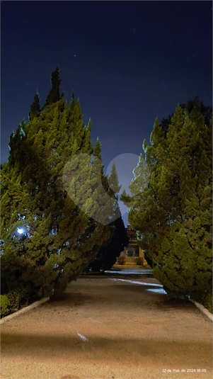 Foto REO1086997