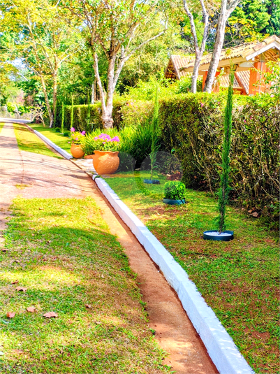Foto REO1086997