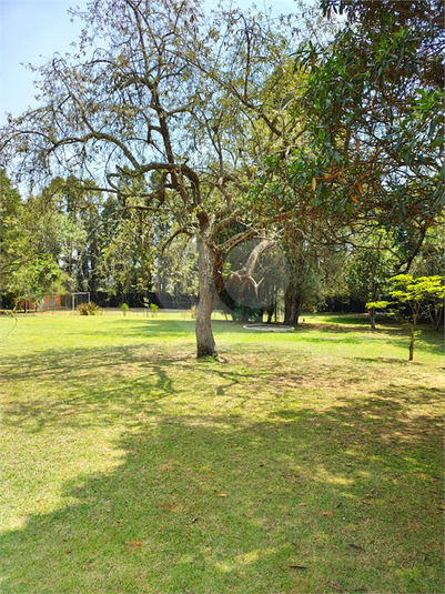 Foto REO1086997