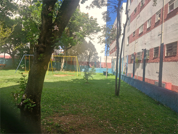 Foto REO1087008