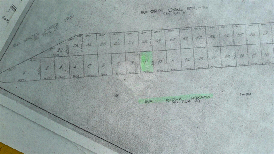 Foto REO1087009