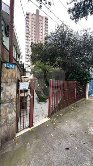 Foto REO1087013
