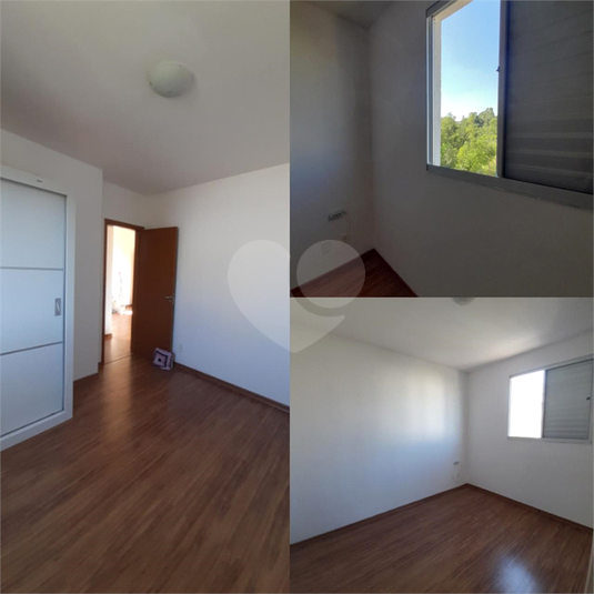 Foto REO1087037
