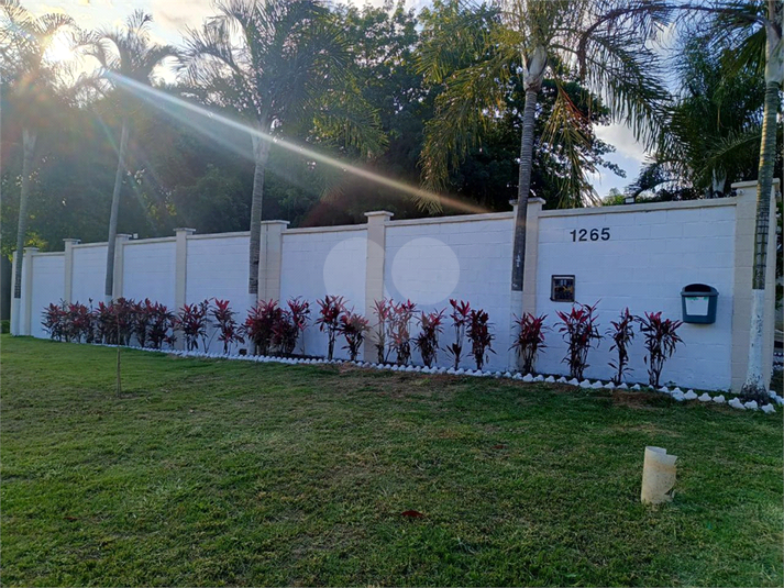 Foto REO1087037