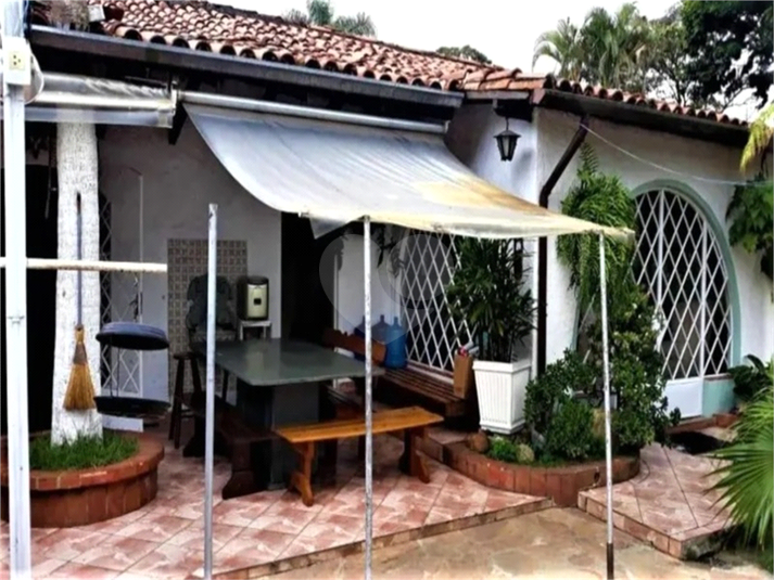 Foto REO1087039