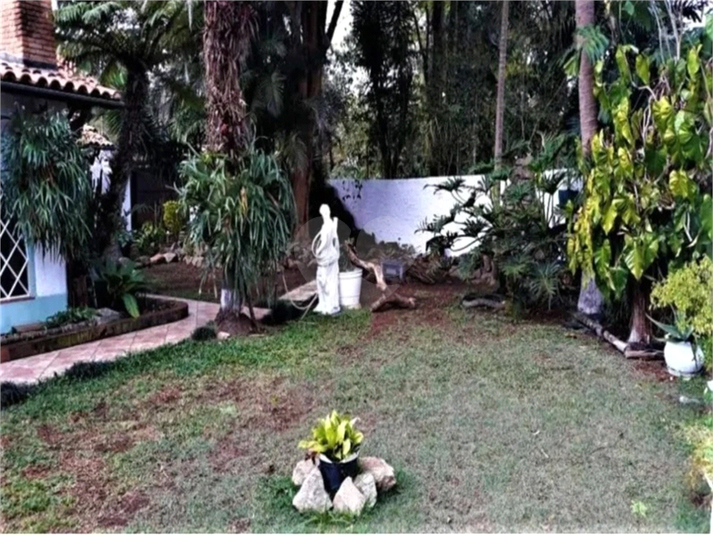 Foto REO1087039