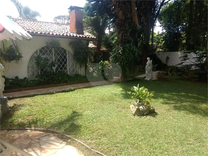 Foto REO1087039