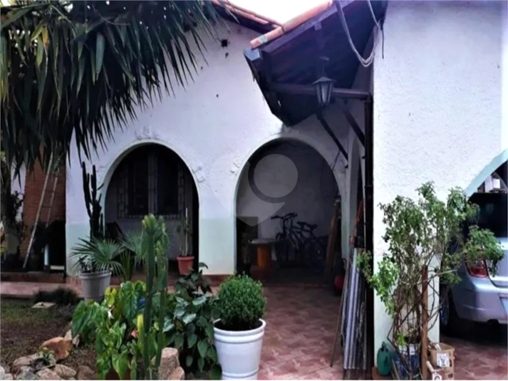 Foto REO1087039