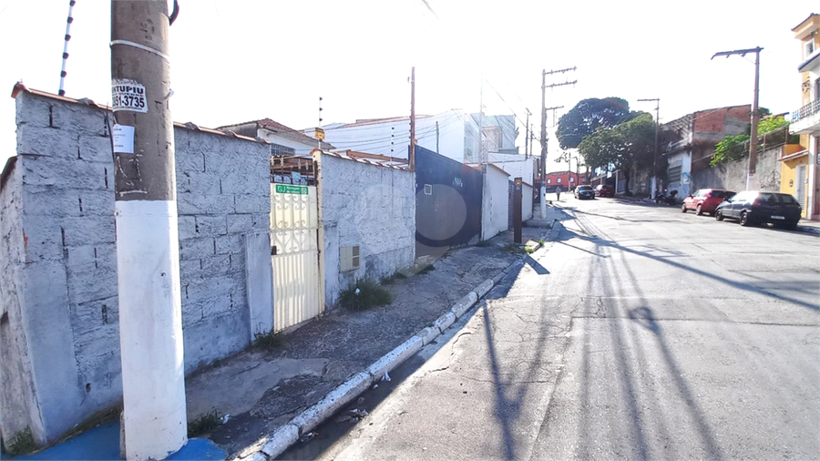Foto REO1087045
