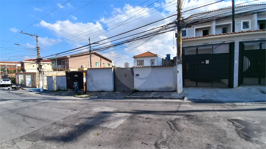 Foto REO1087045