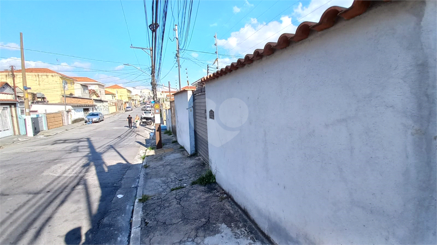 Foto REO1087045