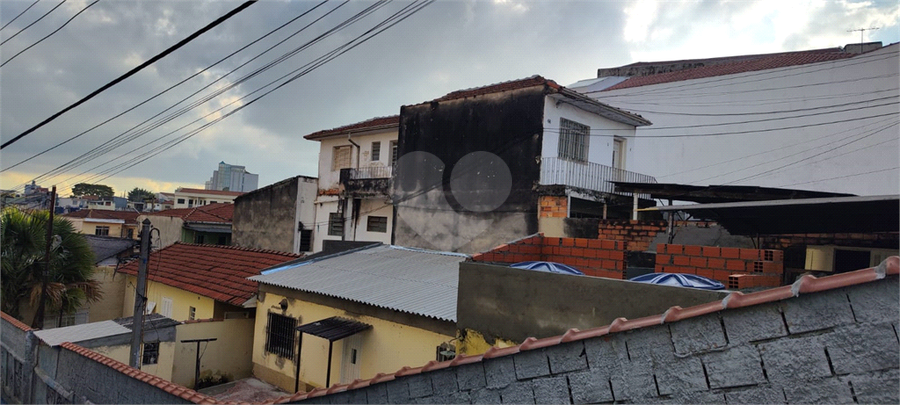 Foto REO1087045