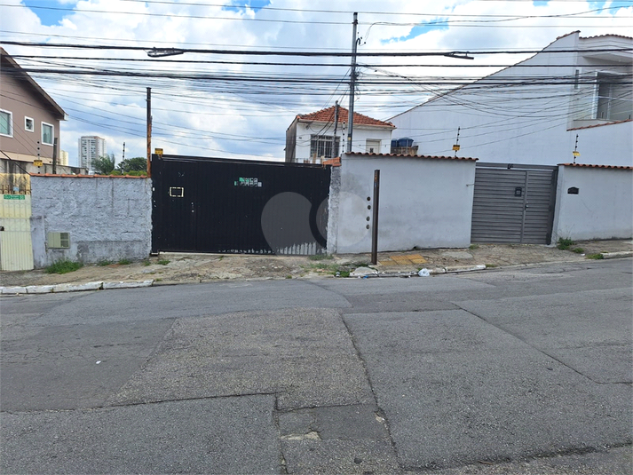Foto REO1087045
