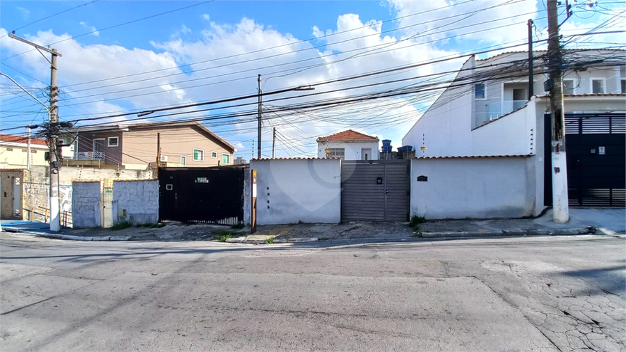 Foto REO1087045