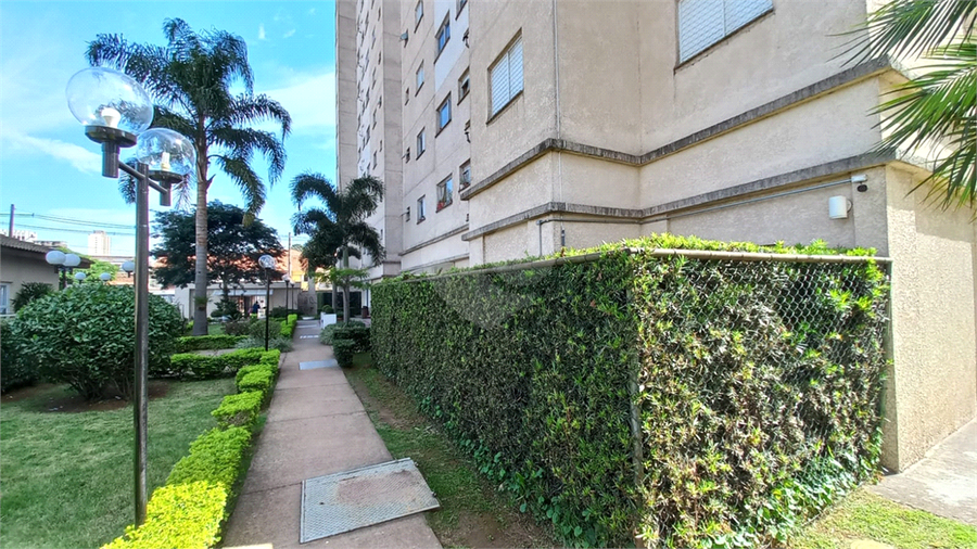 Foto REO1087046