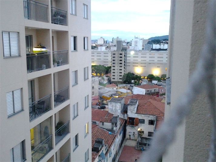 Foto REO1087053
