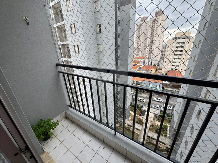 Foto REO1087053