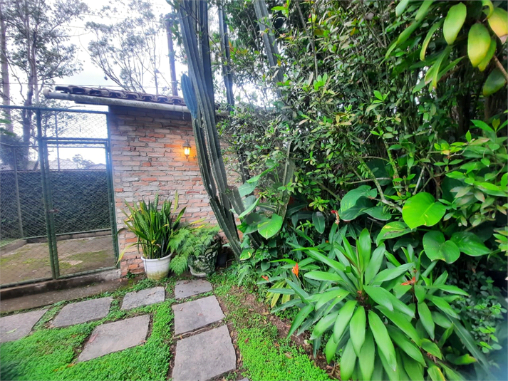 Foto REO1087062