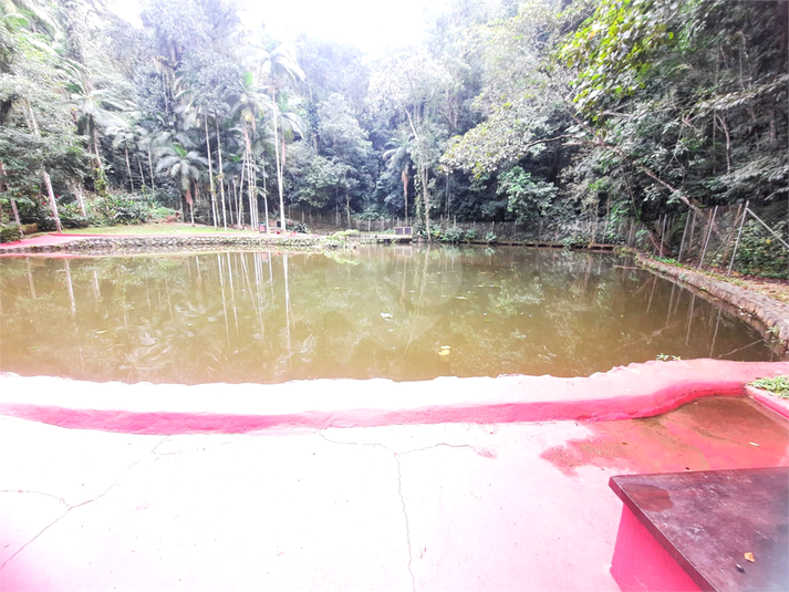 Foto REO1087062
