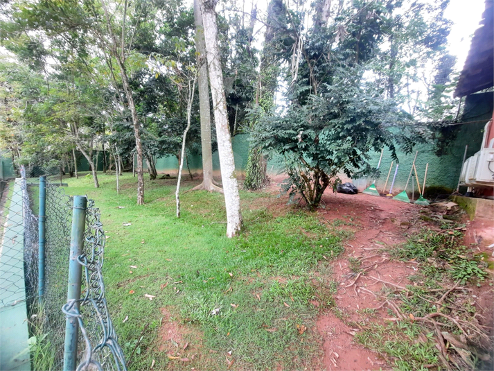 Foto REO1087062