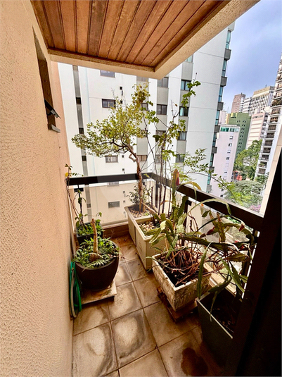 Foto REO1087067