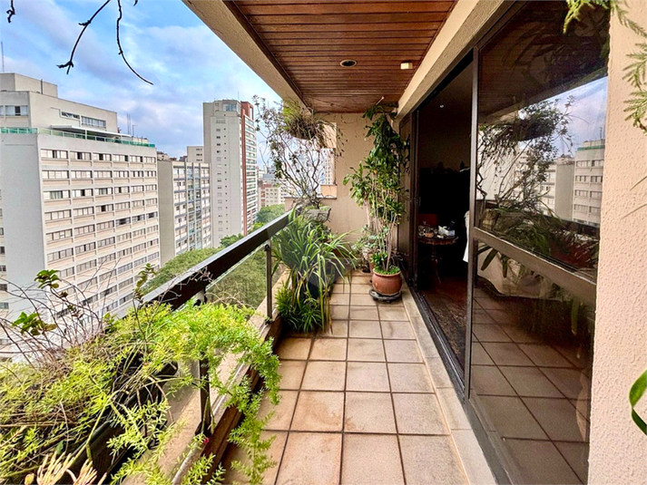 Foto REO1087067