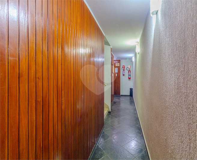 Foto REO1087073