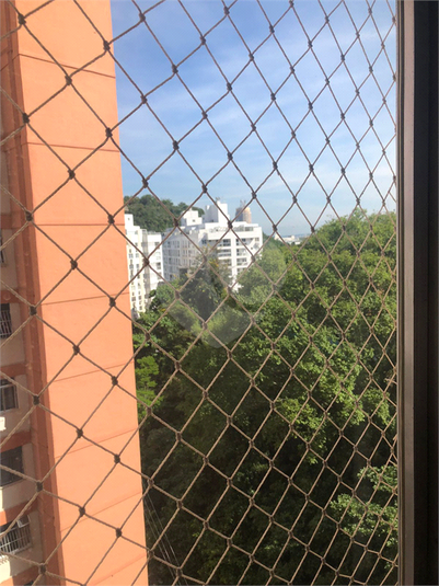 Foto REO1087098