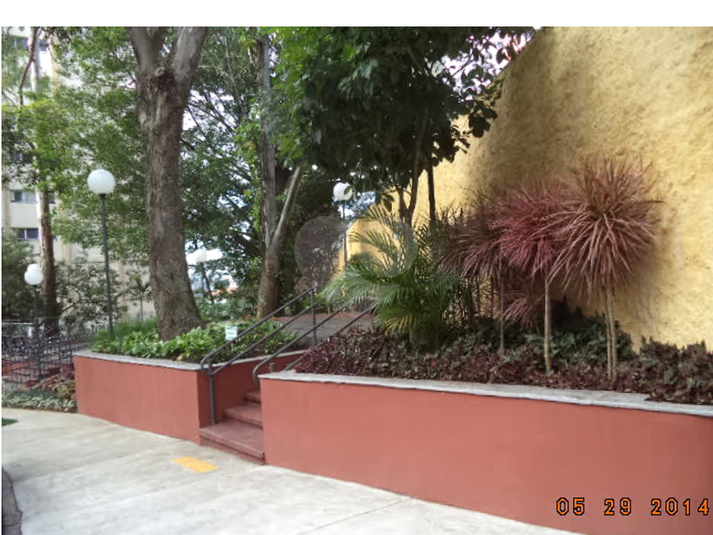 Foto REO1087101