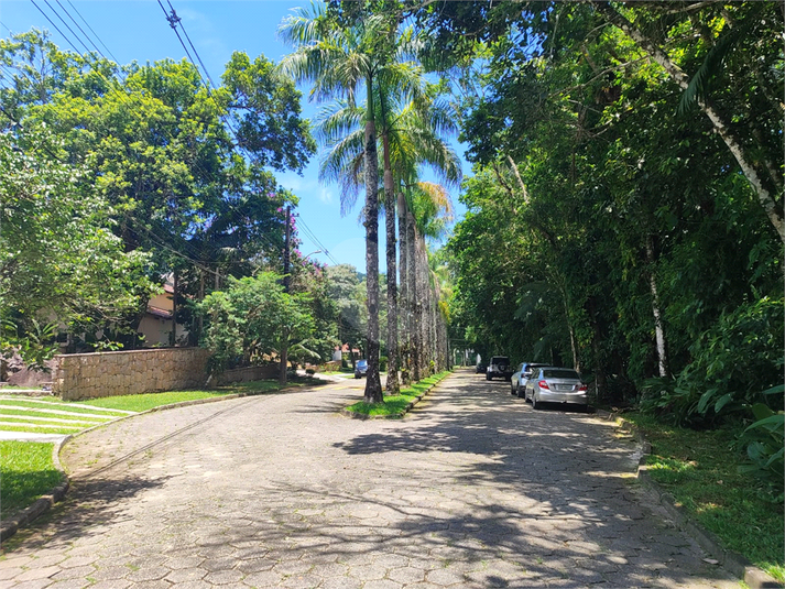 Foto REO1087139