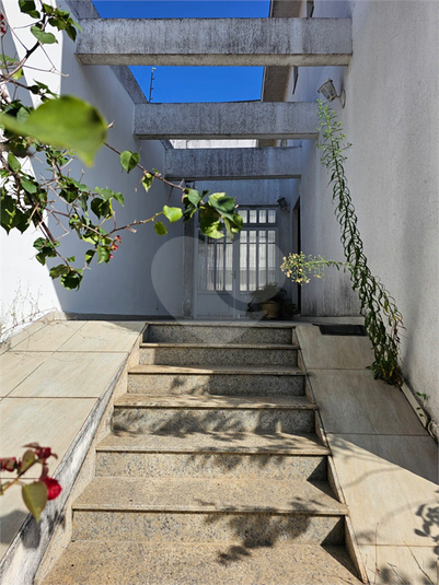 Foto REO1087144