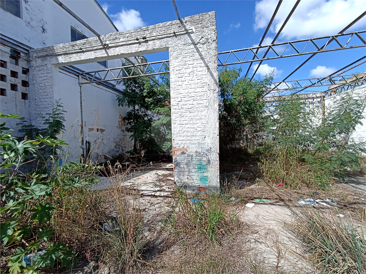 Foto REO1087148