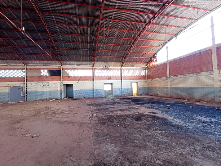 Foto REO1087148
