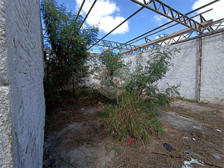 Foto REO1087148