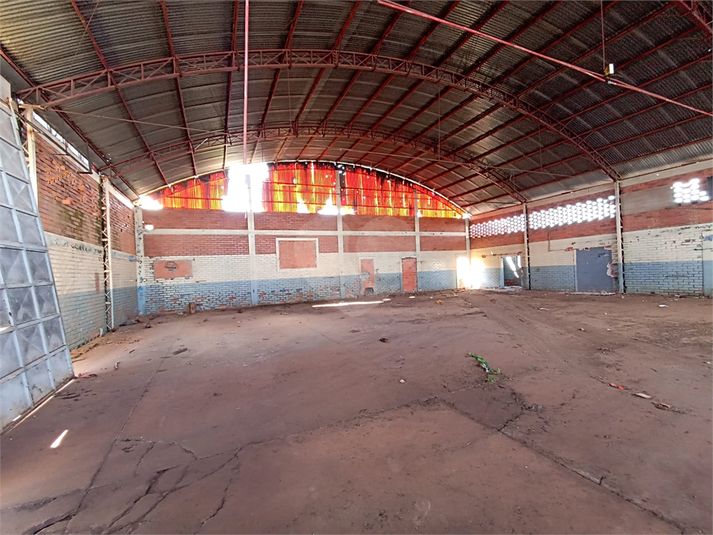 Foto REO1087148