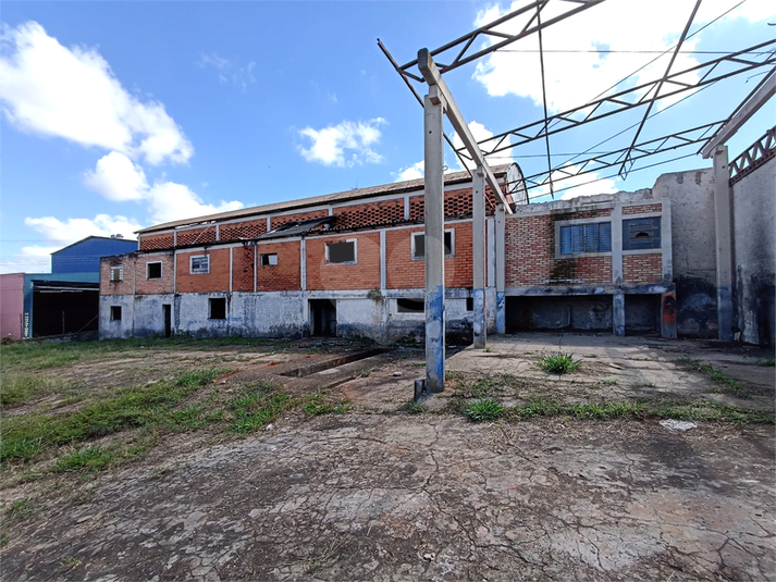 Foto REO1087148