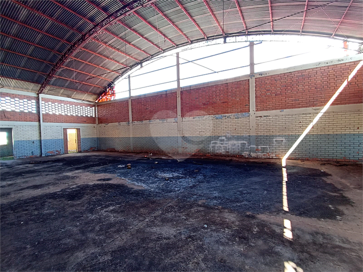 Foto REO1087148