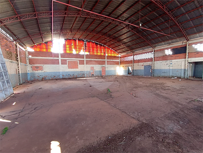 Foto REO1087148