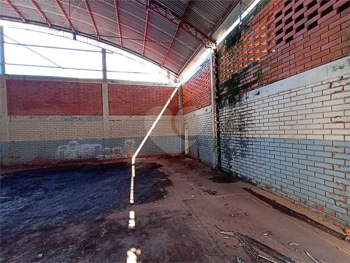 Foto REO1087148