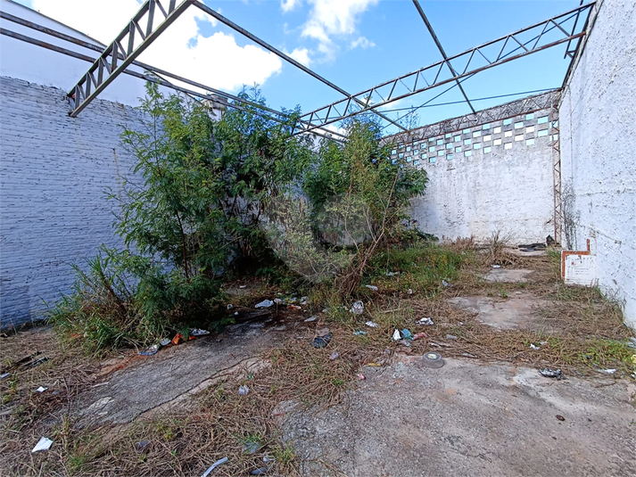 Foto REO1087148