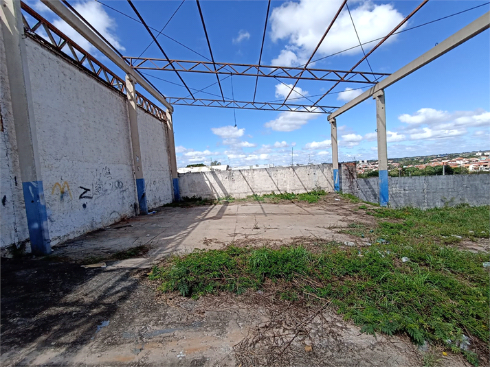 Foto REO1087148
