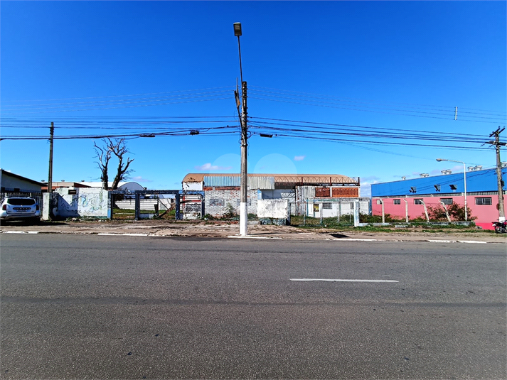 Foto REO1087148