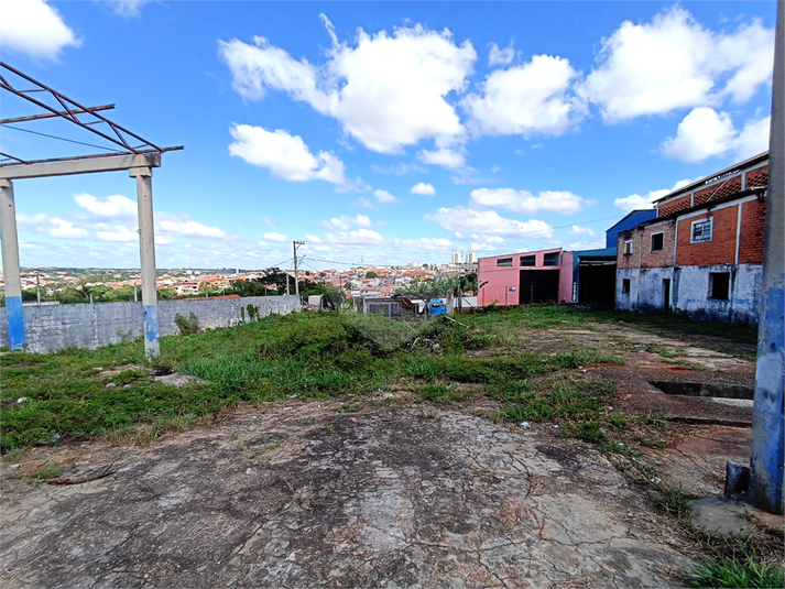 Foto REO1087148