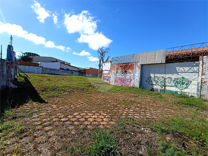 Foto REO1087148