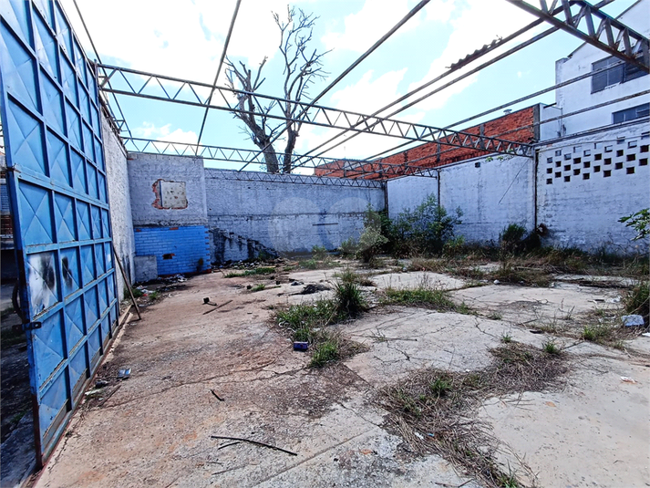 Foto REO1087148