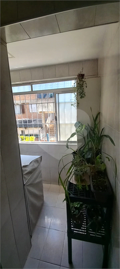Foto REO1087160