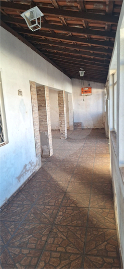 Foto REO1087164