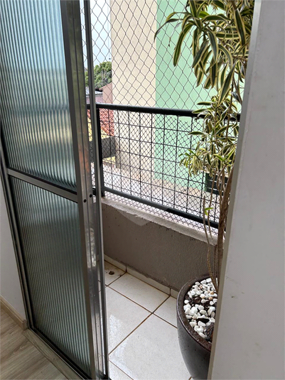Foto REO1087182